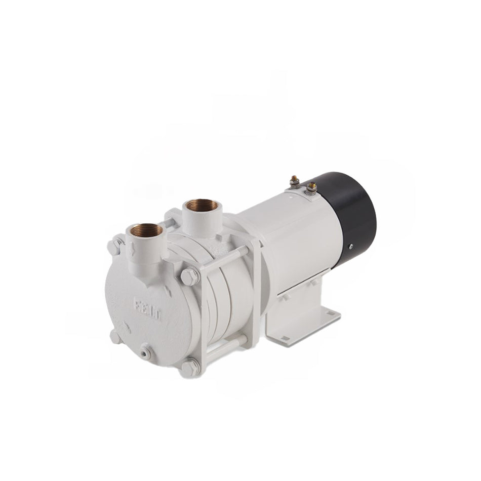 FEIT ELETTROPOMPA TSL20/1 BRONZO KW 0.9 V 24 C.C