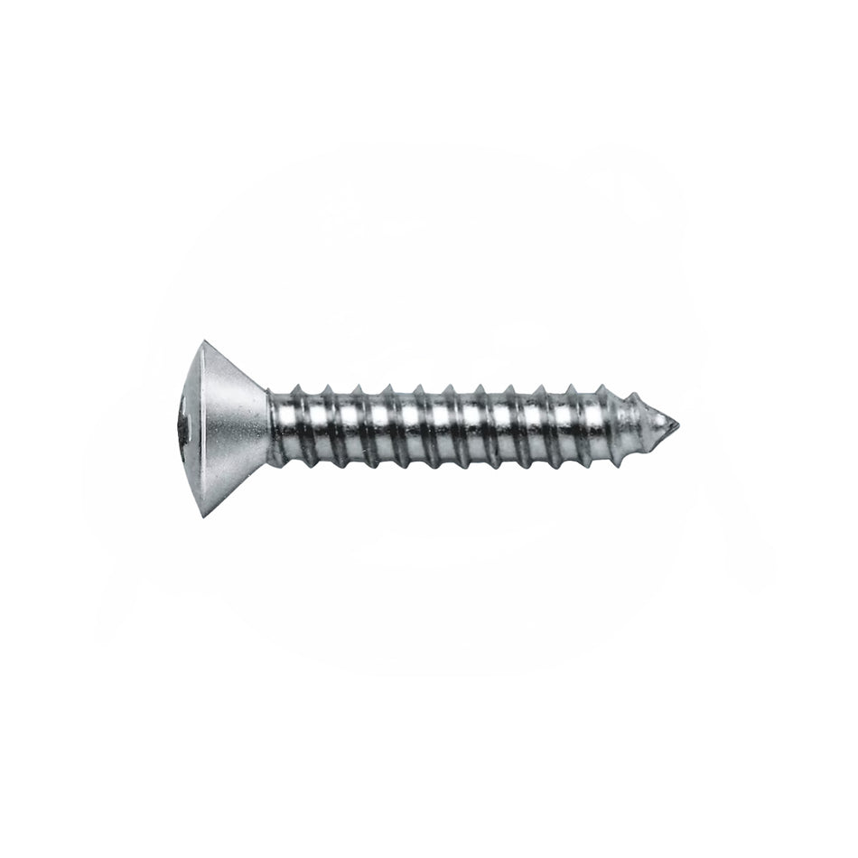 SELF-FIXING SCREW TGS STAINLESS STEEL A4 4.8X38