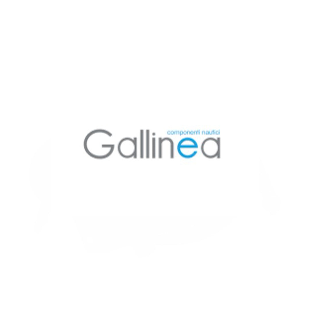 GALLINEA SCHEDA MOD BUS INTERFACE