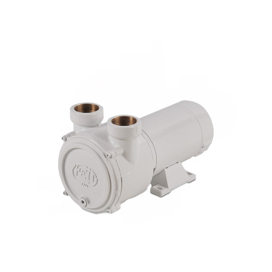 FEIT ELECTRIC PUMP TSL 10/15 BTM 0.25 KW 24V REVERSIBLE